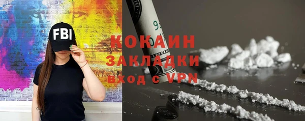 твердый Туринск