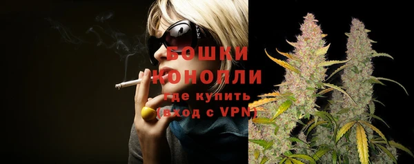мдпв Тында
