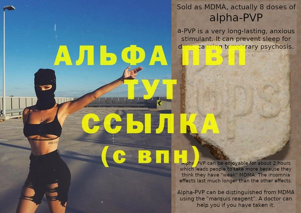 твердый Туринск