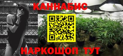 СК Донецк