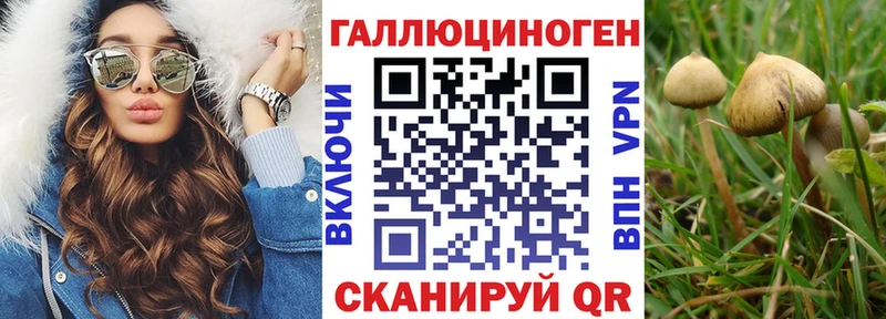 Псилоцибиновые грибы мухоморы Можайск